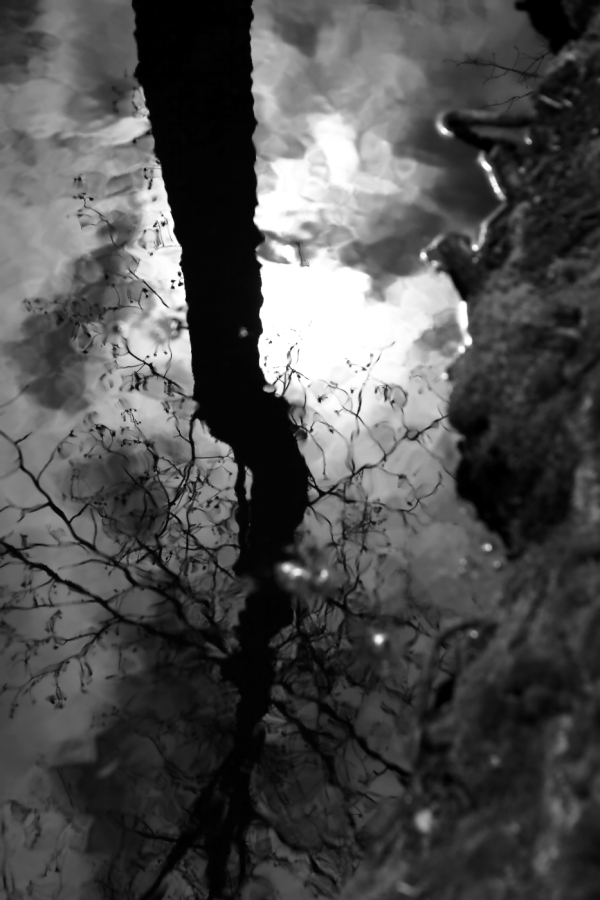 2012 03 29 9999 163ebw